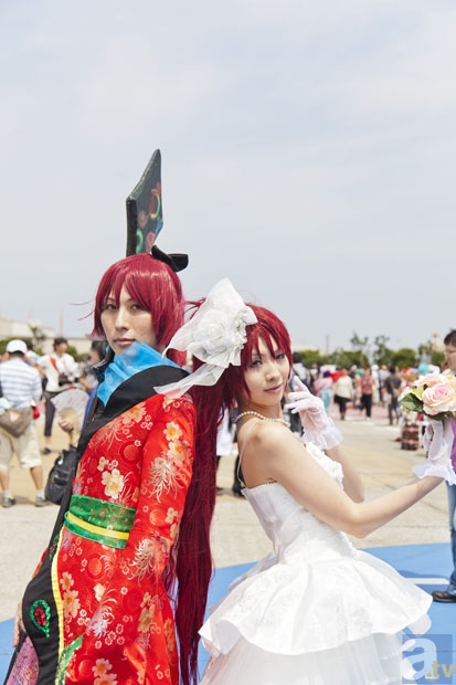 河南玉米价格多少钱一吨?目前行情如何?|半岛体育(图1) 半岛体育